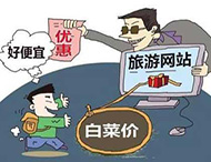 農村旅游網(wǎng)站建設及用戶(hù)體驗度的提高？